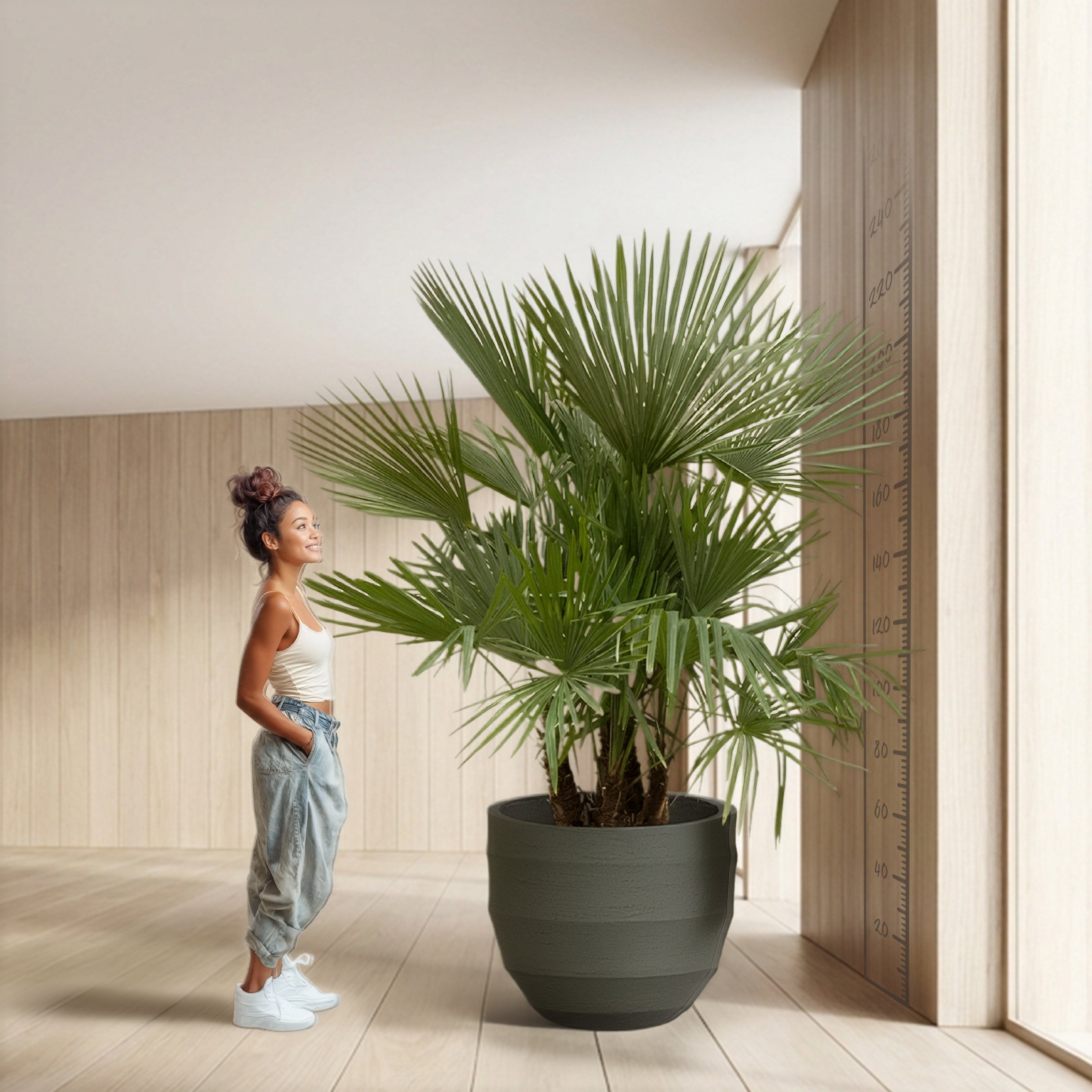 Green Courtyard