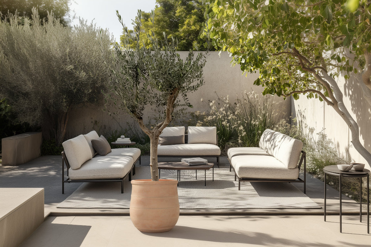 Olive Terrace