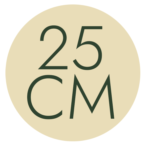 25 cm