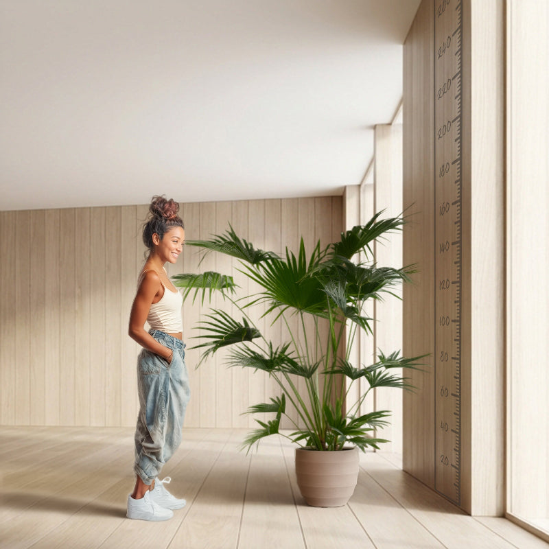 Boho Dunes