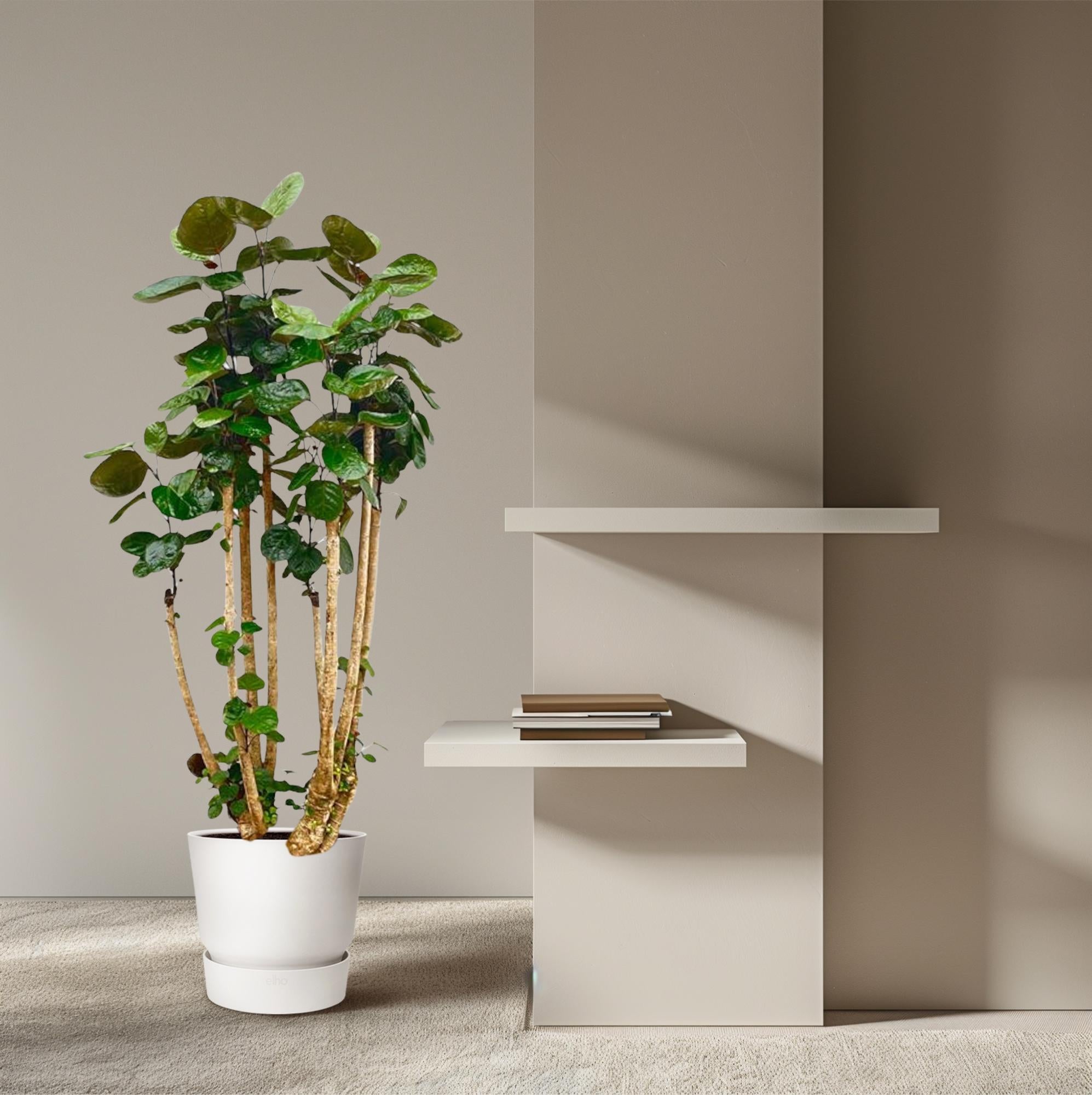 Polysicas Fabian XXL - 150 cm - ⌀30